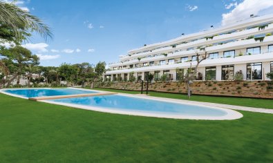 Obra nueva - Apartamento / piso -
Alfaz del Pi