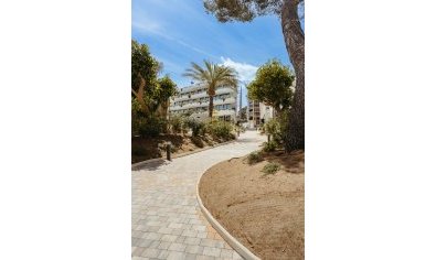 Nieuwbouw Woningen - Appartement -
Alfaz del Pi