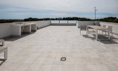 Obra nueva - Villa -
Pinar de Campoverde