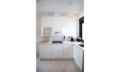 Obra nueva - Villa -
Pinar de Campoverde