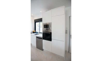 Obra nueva - Villa -
Pinar de Campoverde