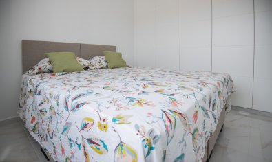 Obra nueva - Villa -
Pinar de Campoverde