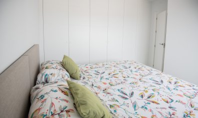 Obra nueva - Villa -
Pinar de Campoverde