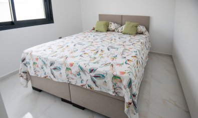 Obra nueva - Villa -
Pinar de Campoverde