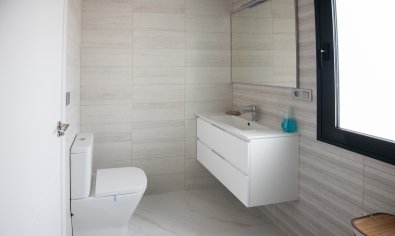 Obra nueva - Villa -
Pinar de Campoverde