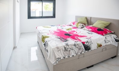 Obra nueva - Villa -
Pinar de Campoverde