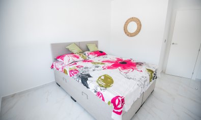 Obra nueva - Villa -
Pinar de Campoverde