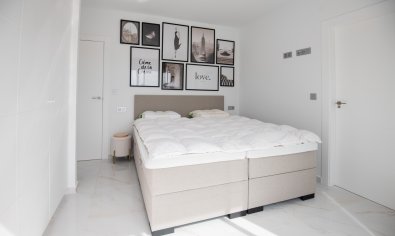 Obra nueva - Villa -
Pinar de Campoverde