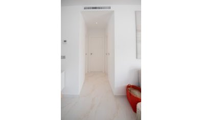 Obra nueva - Villa -
Pinar de Campoverde