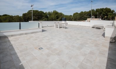 Obra nueva - Villa -
Pinar de Campoverde