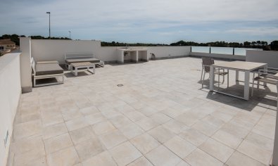 Obra nueva - Villa -
Pinar de Campoverde