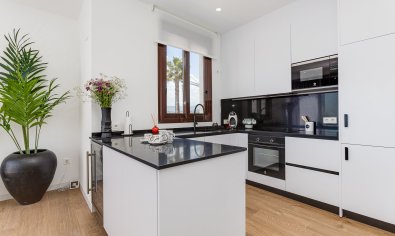 Obra nueva - Villa -
Finestrat