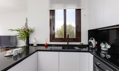 Obra nueva - Villa -
Finestrat