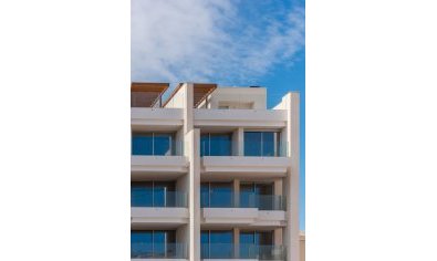 New Build - Penthouse -
Orihuela Costa