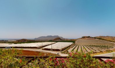 Obra nueva - Villa -
Aguilas - Águilas