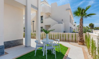 Nieuwbouw Woningen - Appartement -
Rojales