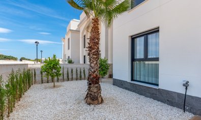 Nieuwbouw Woningen - Appartement -
Rojales