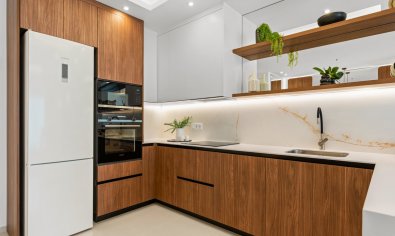 Nieuwbouw Woningen - Appartement -
Rojales