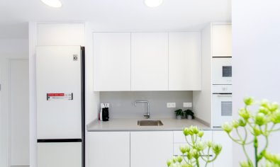 Obra nueva - Villa -
Orihuela Costa