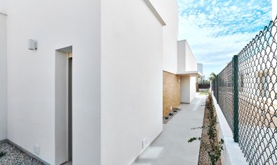 New Build - Villa -
Los Montesinos