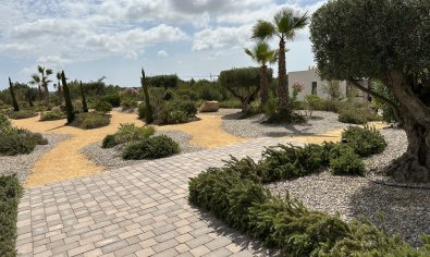 Bestaande bouw - Appartement -
Dehesa De Campoamor - Las Colinas Golf Resort