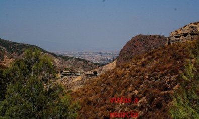 Reventa - Finca -
Gea Y Truyols