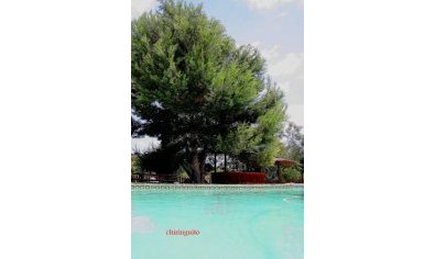 Reventa - Finca -
Gea Y Truyols