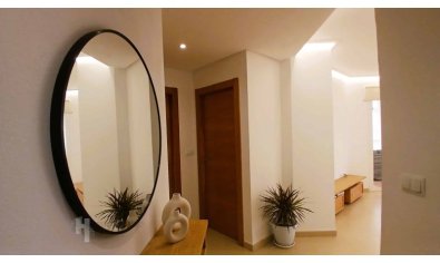 Resale - Apartment -
Murcia - Campo de Murcia