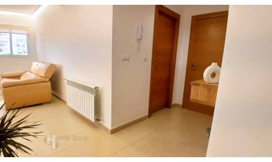 Resale - Apartment -
Murcia - Campo de Murcia