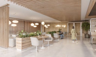 Obra nueva - ground-floor -
La Nucía