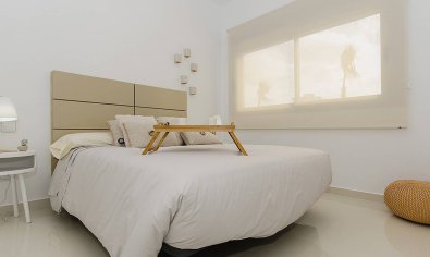 Obra nueva - Villa -
Dehesa De Campoamor