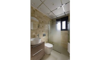 Obra nueva - Villa -
Dehesa De Campoamor