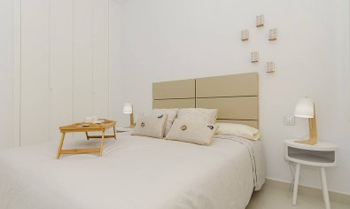 Obra nueva - Villa -
Dehesa De Campoamor