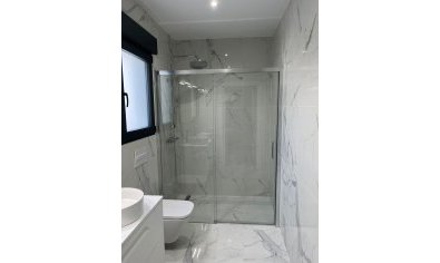 New Build - Villa -
La Romana