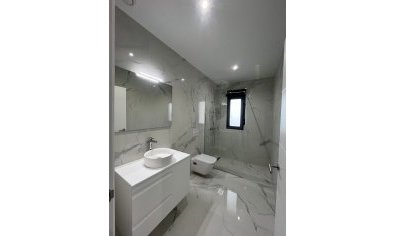 New Build - Villa -
La Romana