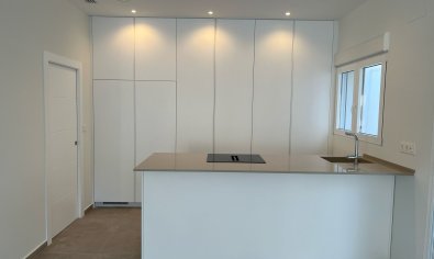 Obra nueva - Villa -
La Romana