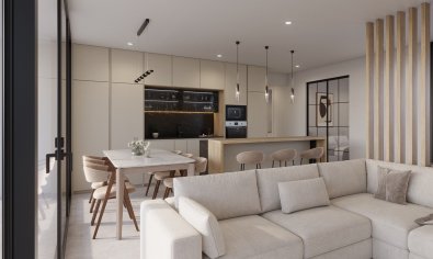 Obra nueva - Villa -
Fuente Álamo - Fuente Alamo