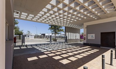New Build - Apartment -
Vera