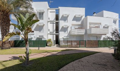 New Build - Apartment -
Vera