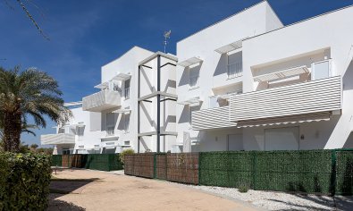 New Build - Apartment -
Vera