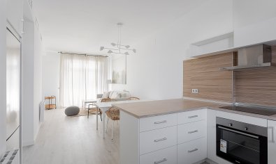 New Build - Apartment -
Vera