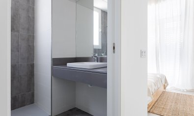 New Build - Apartment -
Vera