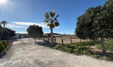 Resale - Land -
Algorfa