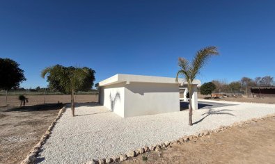 Resale - Land -
Algorfa