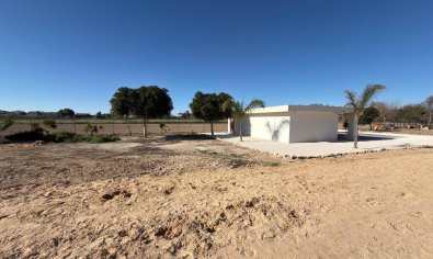 Resale - Land -
Algorfa