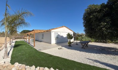 Resale - Land -
Algorfa