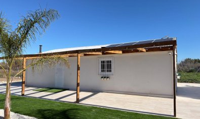 Resale - Land -
Algorfa