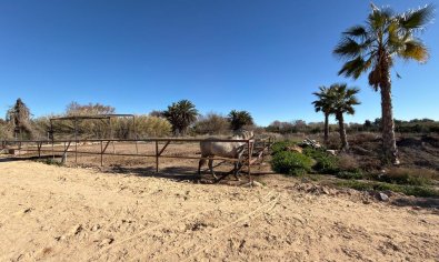 Resale - Land -
Algorfa