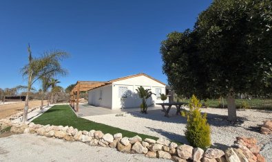 Resale - Land -
Algorfa