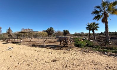 Resale - Land -
Algorfa